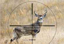 Top Tips to Choose the Perfect Hunting Scope