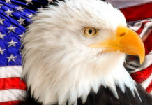 American-Flag-with-Bald-Eagle