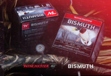 Winchester-Bismuth