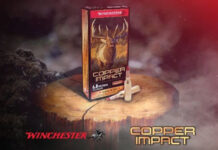 Winchester-Copper-Impact