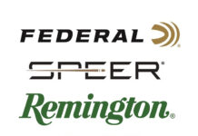 SPEER_FED_REM_CCI_Logos_lg